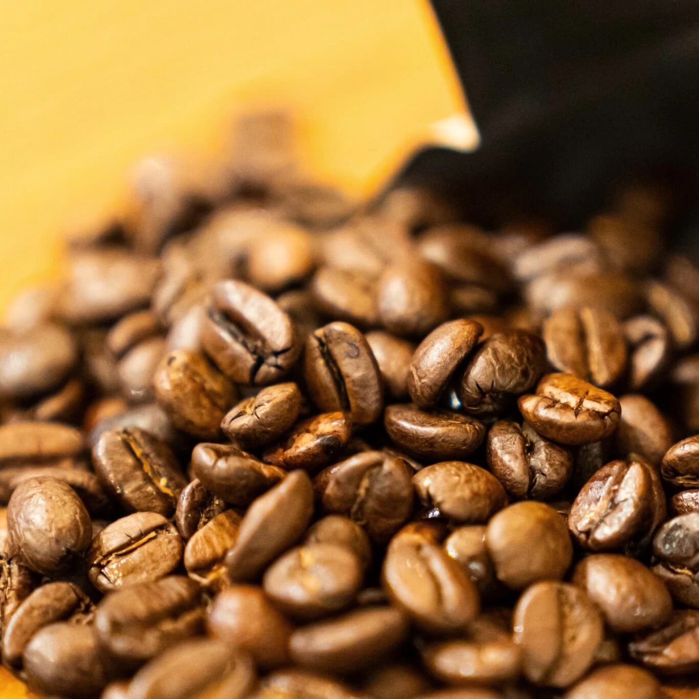 Mondulkiri Highland Beans